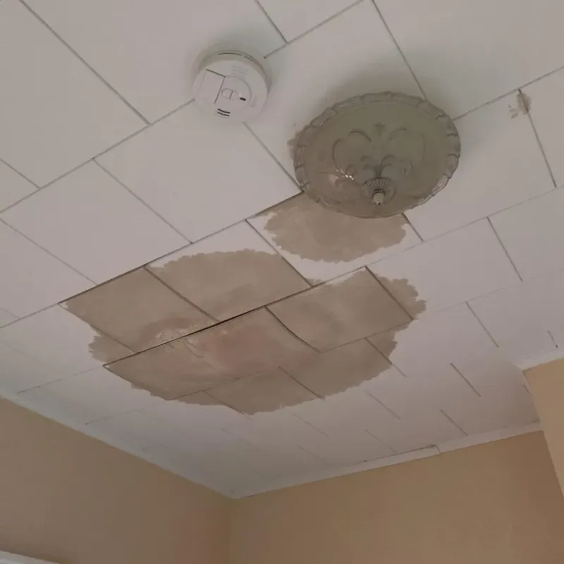 Ceiling Water Damage Repair in Colonial Heights, VA