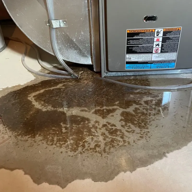 Pipe Burst and Leak Restoration in Colonial Heights, VA