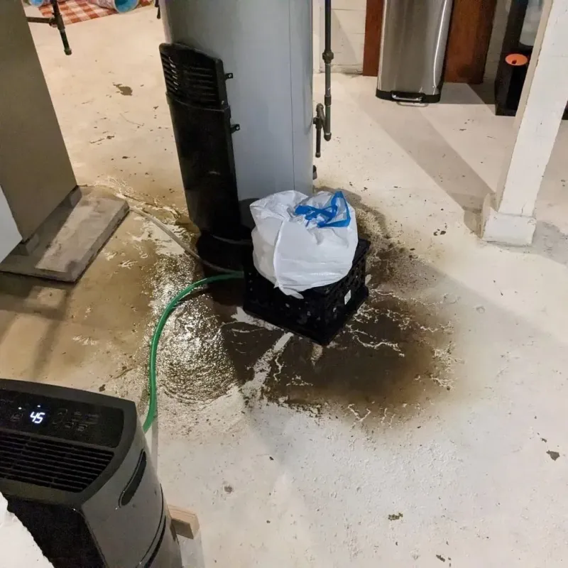 Sewage Backup Cleanup Service in Colonial Heights, VA